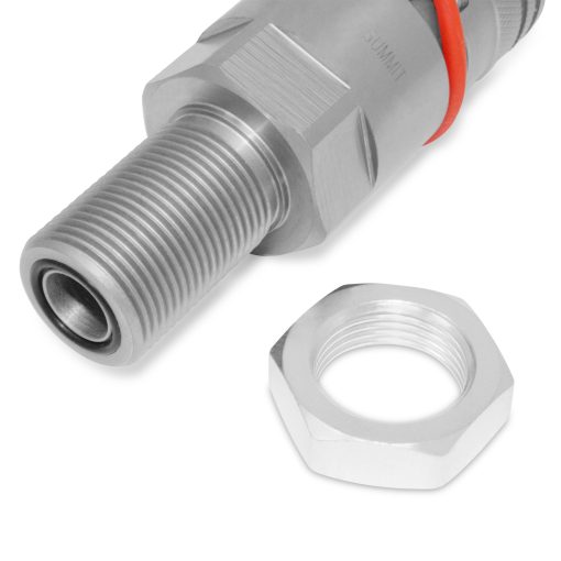 KV11305 Primer plano